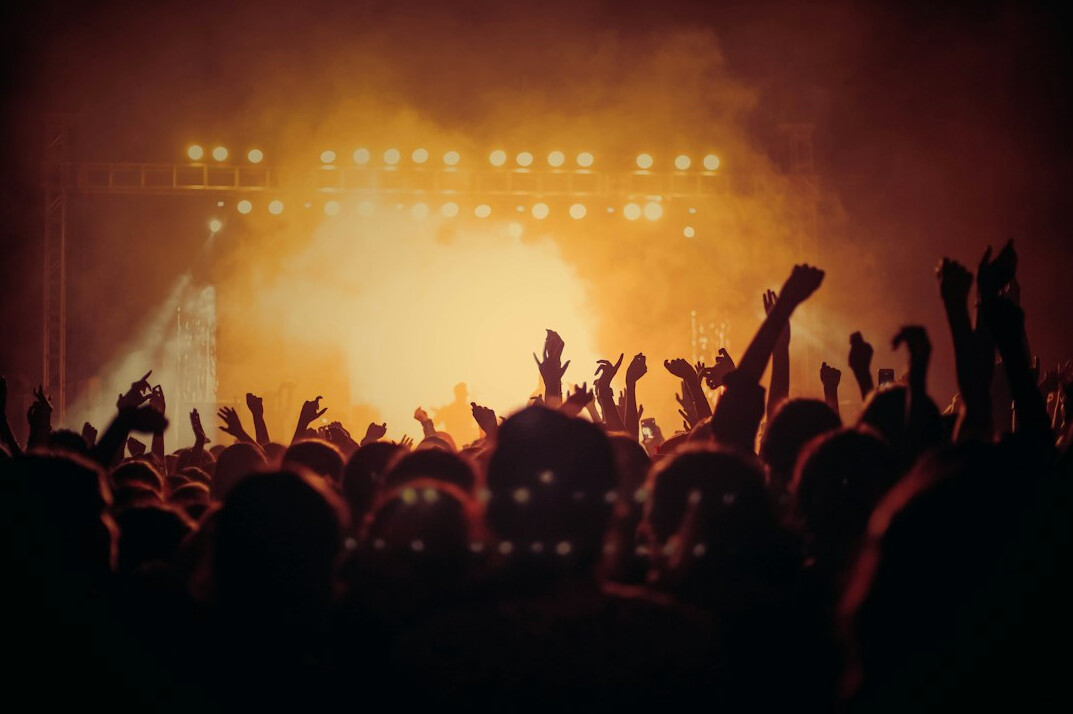 large crowd at concert